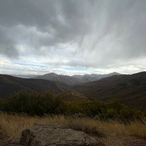 Meet your Posher, Dylan